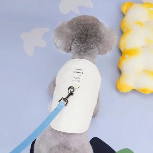 Winter Pet Dog Clothes - Warm Windproof Jacket for Small Medium Dogs