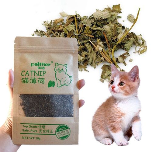 Aihogard Natural Catnip Treats - 100% Organic Healthy Cat Toy