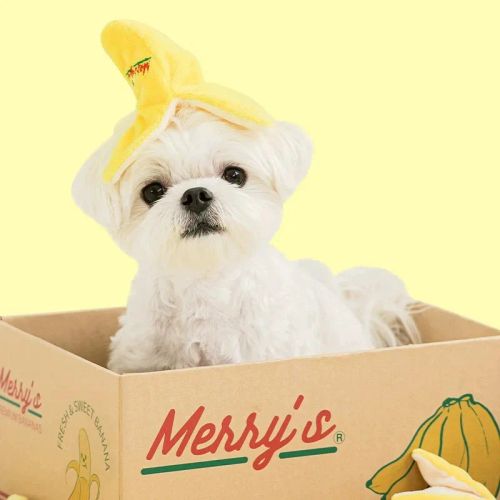 PETFRDGLOBAL Interactive Squeaky Banana Dog Toy for Fun Playtime - Yellow