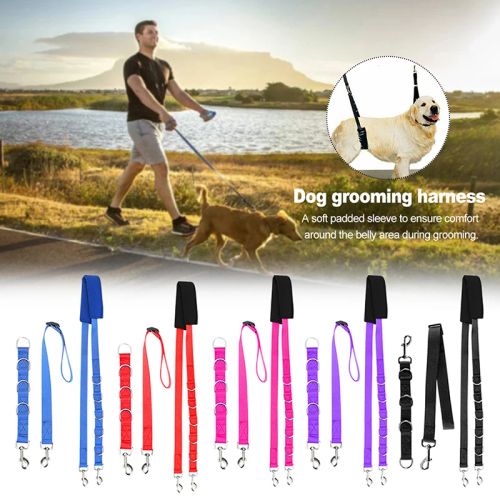 Adjustable Dog Grooming Traction Belt with D-Rings - 3pcs Pet Supplies