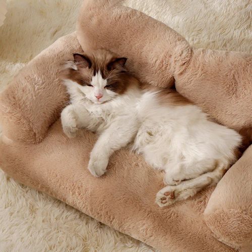 Luxury Eco-Friendly Pet Bed - Comfort & Warmth for Small Dogs