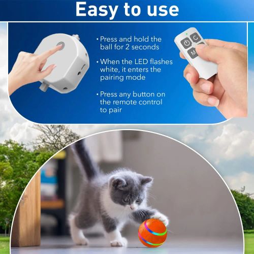 Interactive Rolling Dog Toy Ball for Active Pets - Engaging Playtime