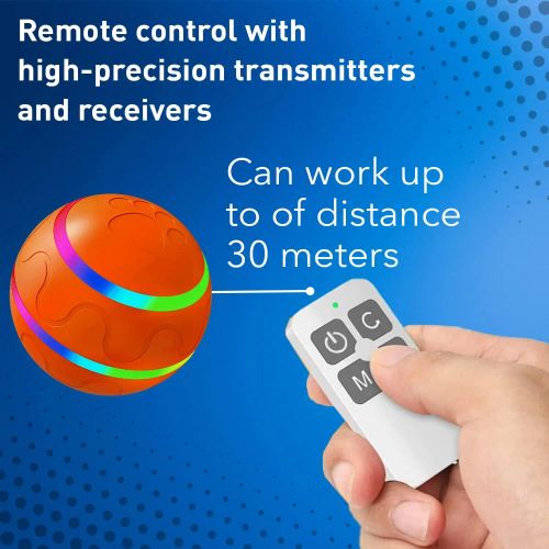 Interactive Rolling Dog Toy Ball for Active Pets - Engaging Playtime