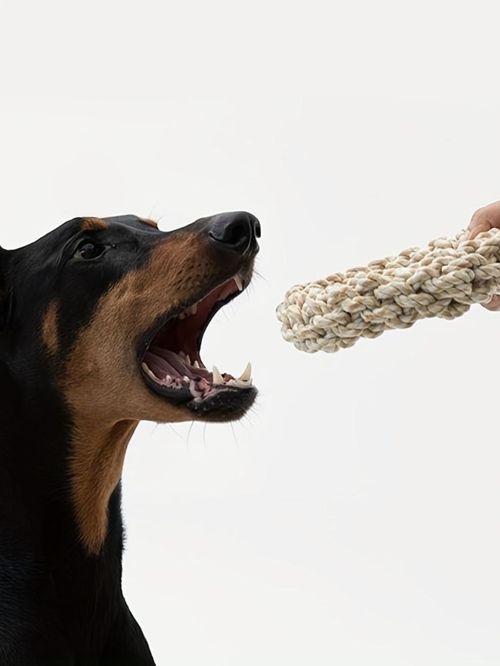 Durable Chew Rope Toy for Medium & Large Dogs - Bite Resistant Pet Supplies