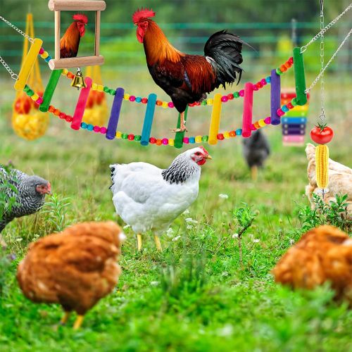 Wooden Bird Toy Set - Durable and Engaging for Chickens & Birds