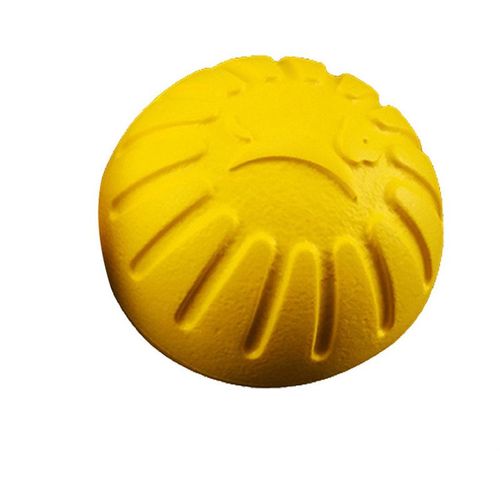 Interactive Dog Toy Ball - Durable Floating Pet Training Toy