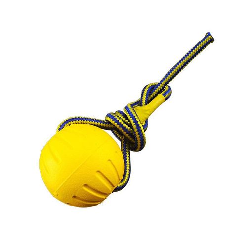 Interactive Dog Toy Ball - Durable Floating Pet Training Toy
