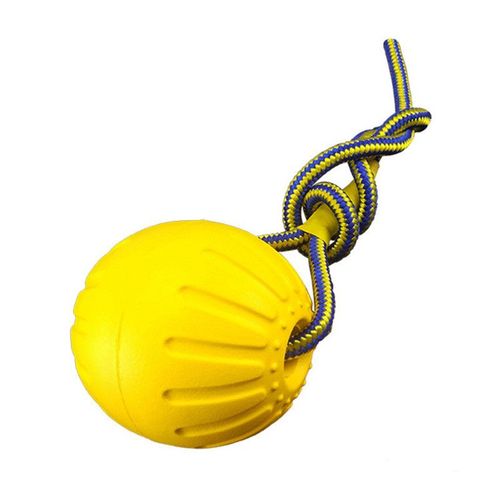 Interactive Dog Toy Ball - Durable Floating Pet Training Toy
