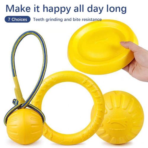 Interactive Dog Toy Ball - Durable Floating Pet Training Toy
