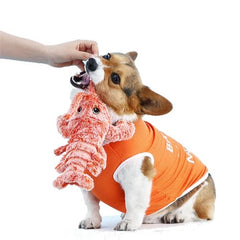 Interactive Lobster Plush Dog Toy - Engages & Entertains Your Pet - Orange