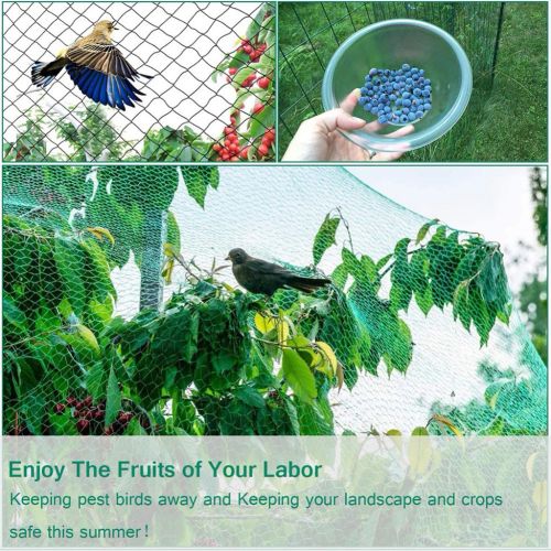 APWIKOGER Durable Nylon Anti Bird Net - Effective Garden Pest Control