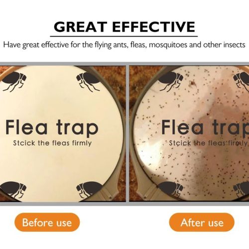 VKTECH Flea Trap with Light Bulbs & Glue Discs - Safe Pest Control Solution