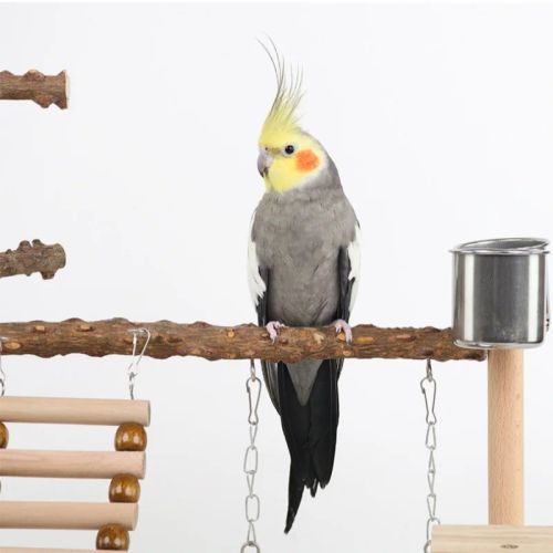Wooden Bird Toy - Active Parrot Foraging Game for Birds - Yellow