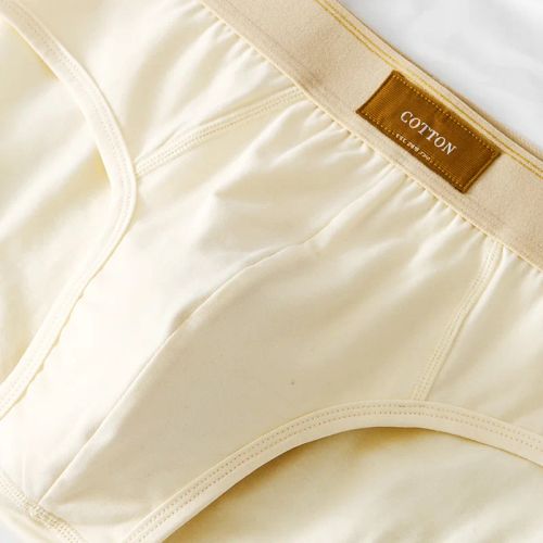 Breathable Cotton Underwear - Comfort Fit Men’s Briefs in Multicolour