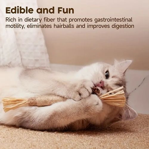 Interactive Cat Toy - Natural Wood Chew Stick for Dental Health - 1pc