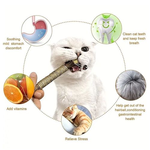 Interactive Cat Toy - Natural Wood Chew Stick for Dental Health - 1pc