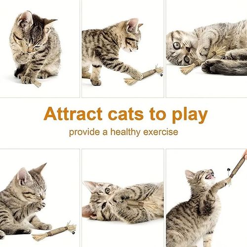 Interactive Cat Toy - Natural Wood Chew Stick for Dental Health - 1pc