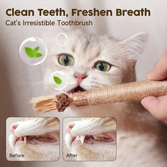 Interactive Cat Toy - Natural Wood Chew Stick for Dental Health - 1pc