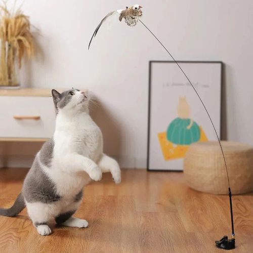 Luxury Feather Cat Toy - Interactive Play & Strong Suction Base