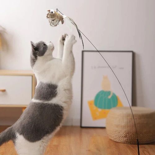 Luxury Feather Cat Toy - Interactive Play & Strong Suction Base