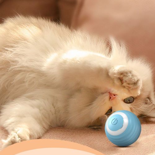 Smart Cat Toy Ball | Durable Quiet & Comfortable Playtime Experience