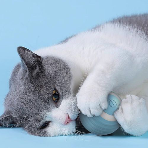 Smart Cat Toy Ball | Durable Quiet & Comfortable Playtime Experience
