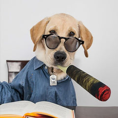 Squeaky Dog Toy - Funny Cigar Design for Exciting Playtime