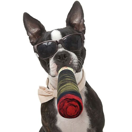 Squeaky Dog Toy - Funny Cigar Design for Exciting Playtime