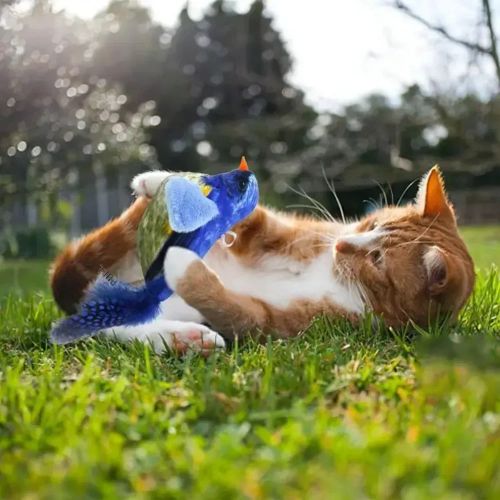 Squeaky PP Cotton Cat Toy - Safe Entertaining Stress Relief
