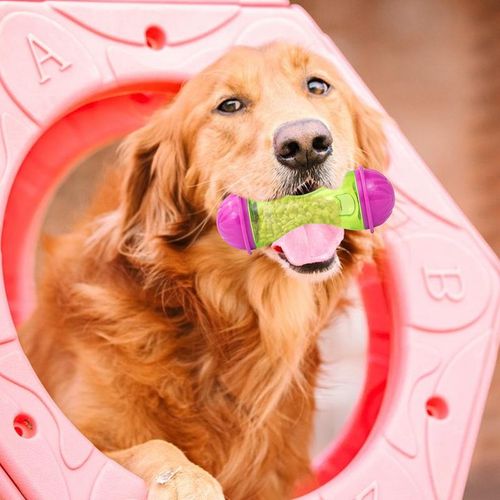 Liilaimic Interactive Dog Toy - Durable Treat Dispenser for Healthy Play