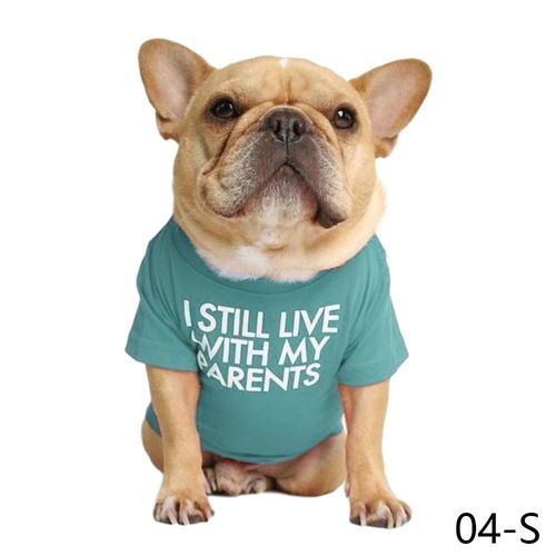 Stylish Pet Clothes - Soft Durable & Comfortable T-Shirt for Dogs - Blue lake / L