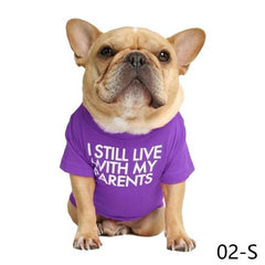 Stylish Pet Clothes - Soft Durable & Comfortable T-Shirt for Dogs - Purple / XXL