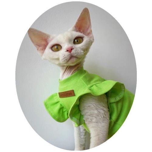 Luxury Cotton Pet Clothes for Small Dogs and Cats - Stylish Summer Outfit
