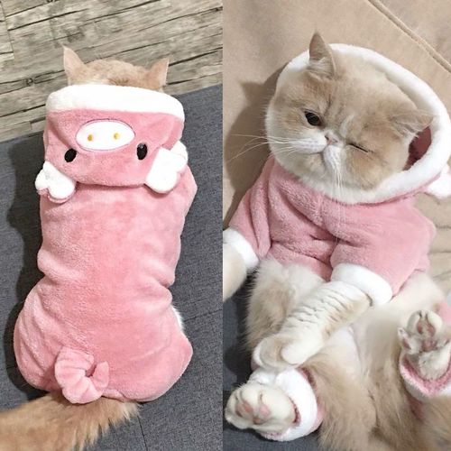Cute Flannel Dog Hoodie - Comfortable Pet Clothes for All Seasons