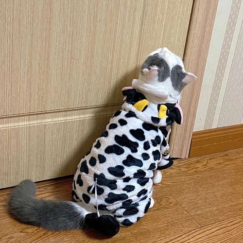 Cute Flannel Dog Hoodie - Comfortable Pet Clothes for All Seasons