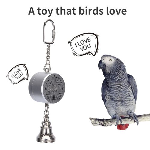 Voice Recordable Bird Toy - Interactive Learning Aid for Birds - Silver