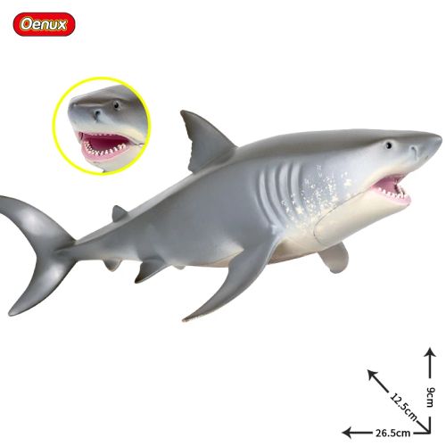 main.png