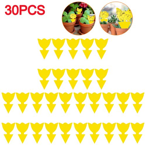 Shunmaii Yellow Sticky Traps - Natural Pest Control for Insects - 10pcs