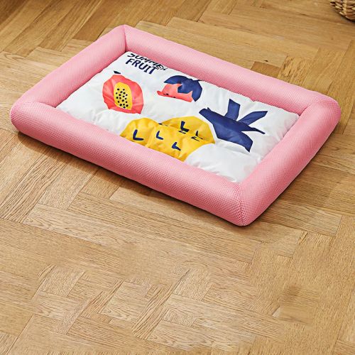 Breathable Summer Pet Bed - Comfortable & Durable - Suitable for Indoor/Outdoor - D / S
