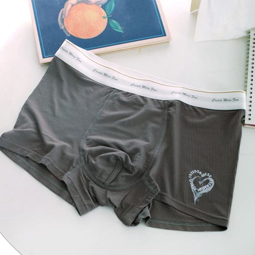 Couples Underwear Modal Briefs for Comfort and Style