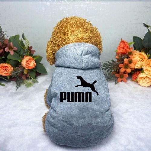 Casual Warm Dog Hoodie for Autumn/Winter - Fashionable Pet Clothes
