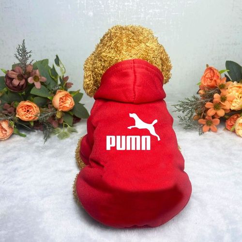 Casual Warm Dog Hoodie for Autumn/Winter - Fashionable Pet Clothes - 3 / XL 5-7.5kg