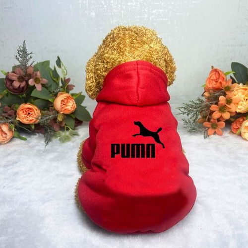 Casual Warm Dog Hoodie for Autumn/Winter - Fashionable Pet Clothes