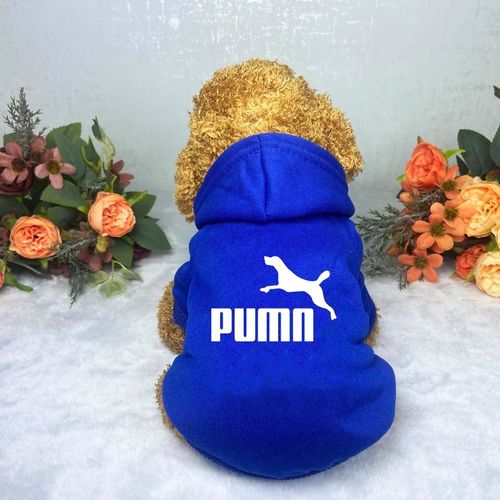Casual Warm Dog Hoodie for Autumn/Winter - Fashionable Pet Clothes - 7 / S 1.5-2kg