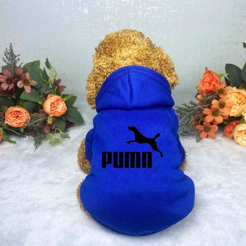 Casual Warm Dog Hoodie for Autumn/Winter - Fashionable Pet Clothes - 8 / M 2-3.5kg