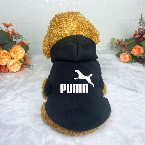 Casual Warm Dog Hoodie for Autumn/Winter - Fashionable Pet Clothes