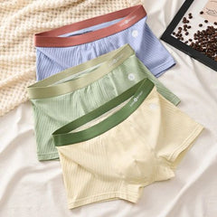 Comfortable Cotton Boxershorts - Breathable Striped Underwear for All Sizes - BlueLvHuang / XXL 60-70kg