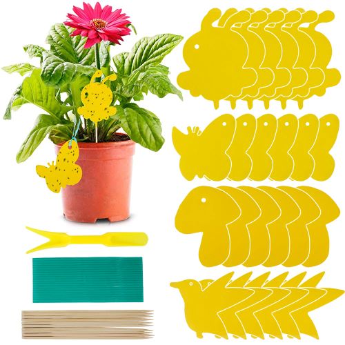 Yellow Sticky Fly Trap for Effective Pest Control - 6 Decorative Boards - yellow