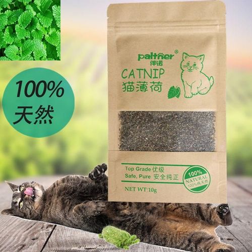 Aihogard Natural Catnip Treats - 100% Organic Healthy Cat Toy - A 1PCS / 20 X 12 X 1