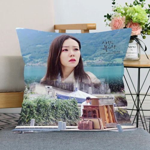 HEARMNY Customised Cartoon Design Pillow Cover for Home & Car - 35x35cm & 45x45cm - 13 / 35X35cm One Sides